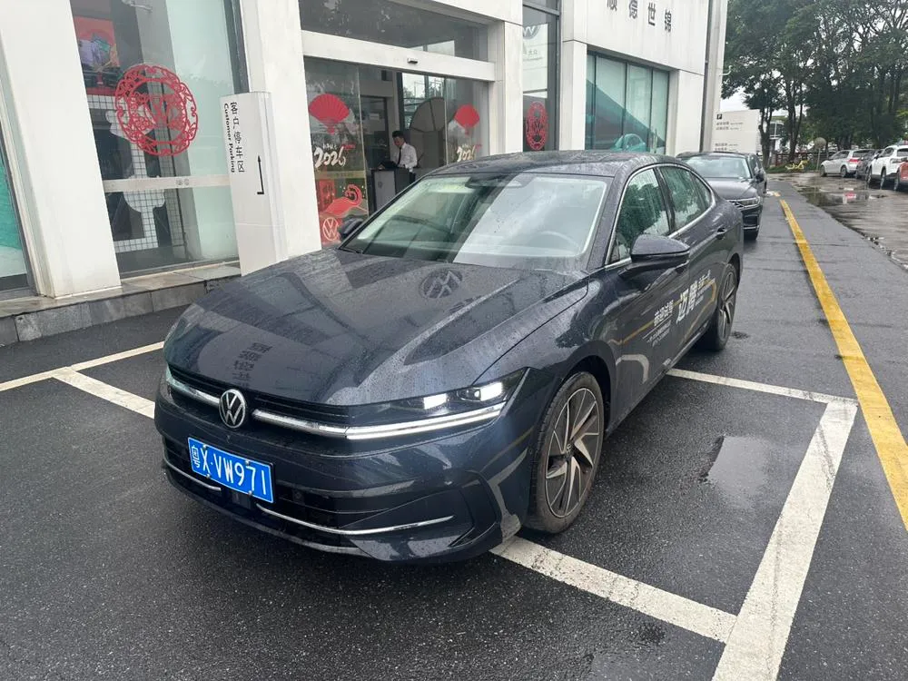 Volkswagen Magotan, 2024