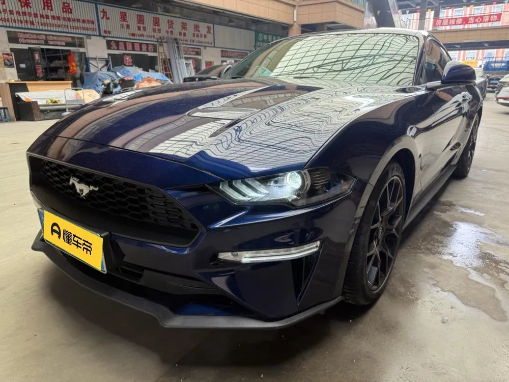 Ford Mustang 2.3T EcoBoost Performance Edition, 2019 — фото 1