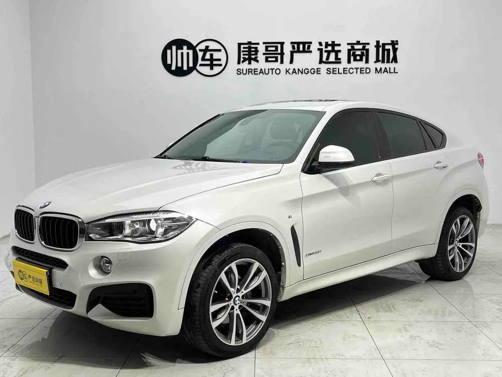 BMW X6 xDrive28i M Sport, 2019 — фото 1