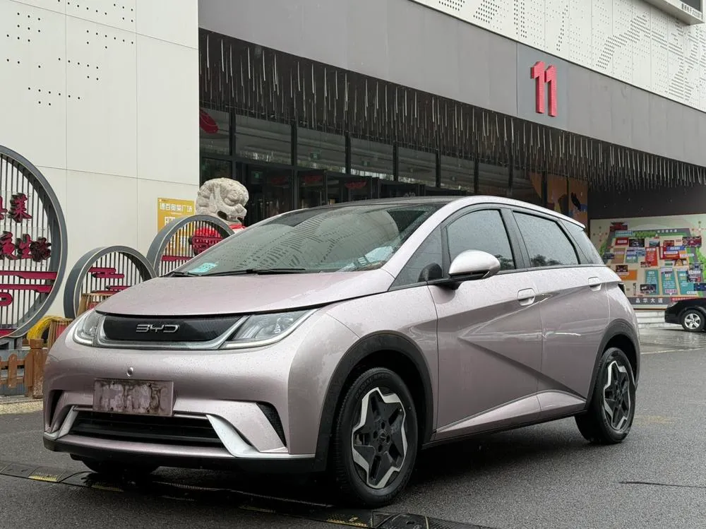 BYD Dolphin, 2021