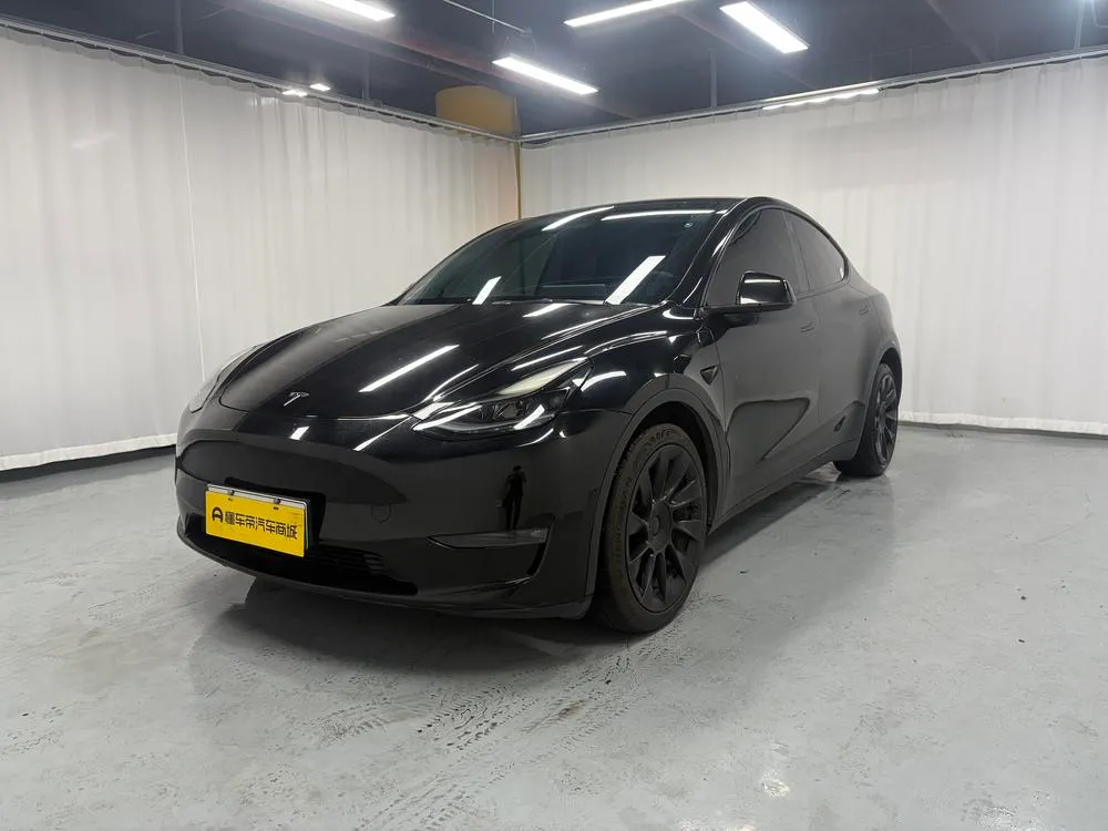 Tesla Model Y Long Range AWD Edition 3D3/3D7, 2021 — фото 1