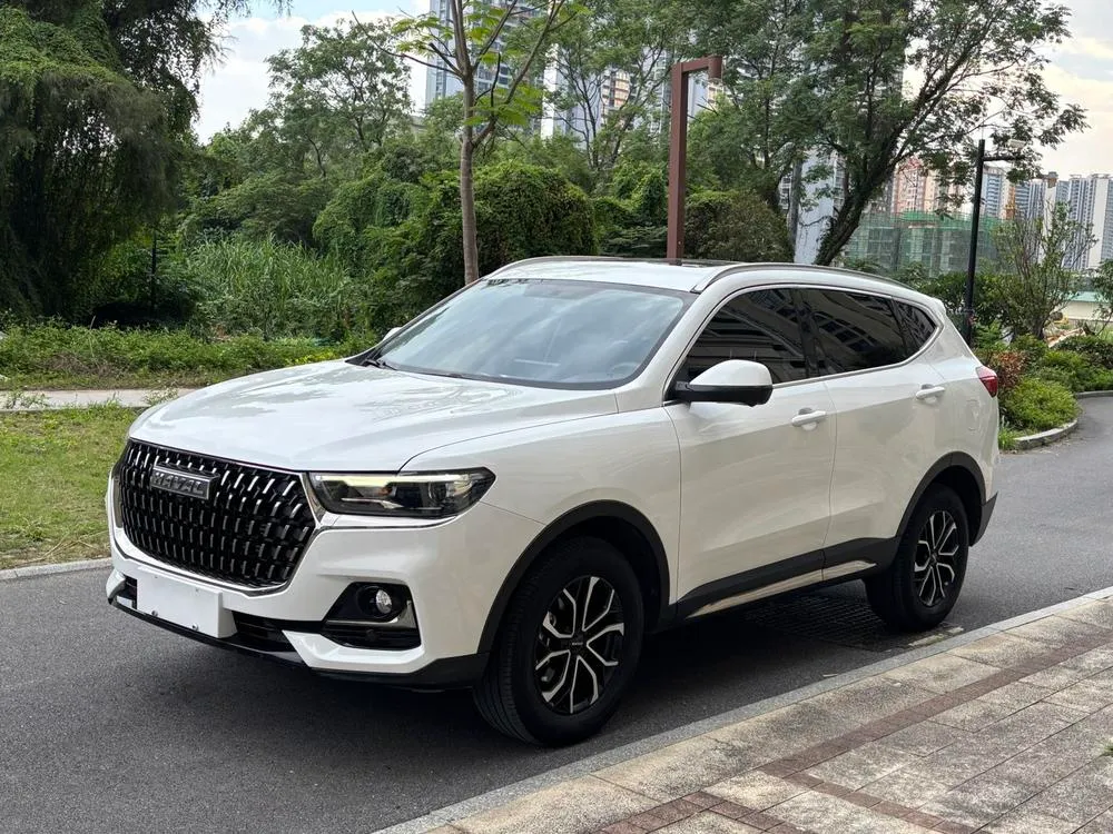 Haval H6 Trendy Edition 1.5T Auto Edition, 2023 — фото 1