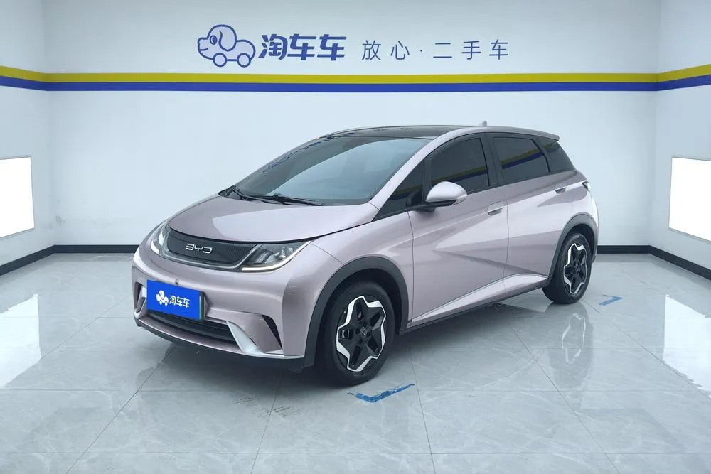 BYD Dolphin, 2021
