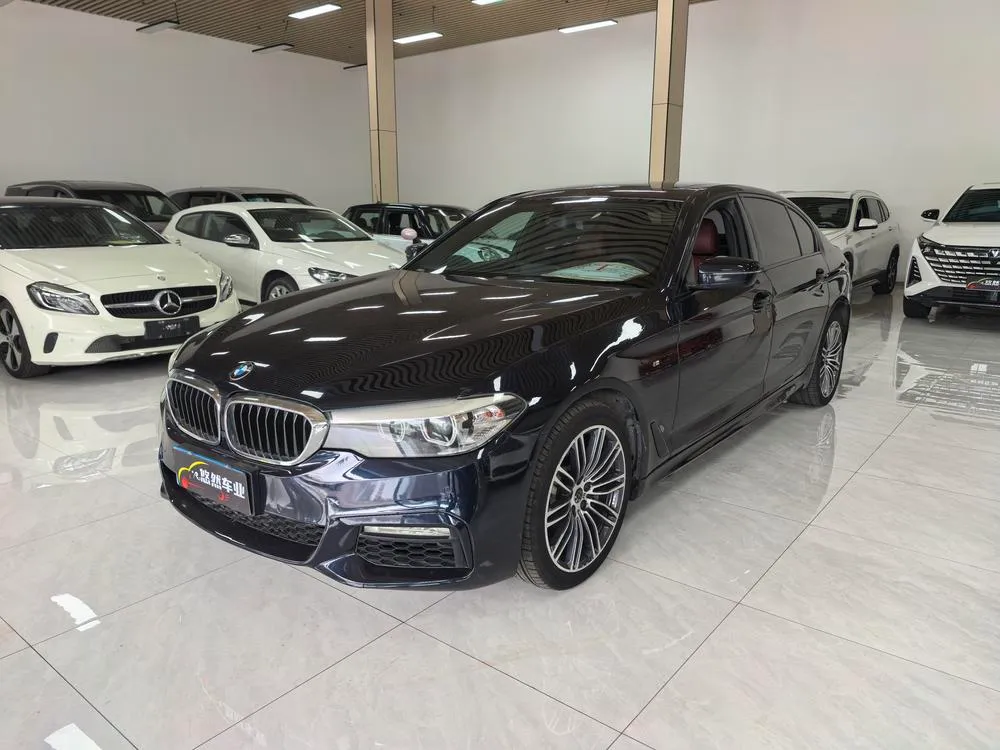 BMW 5-Series 530Li Leading Version M Sport, 2019 — фото 1
