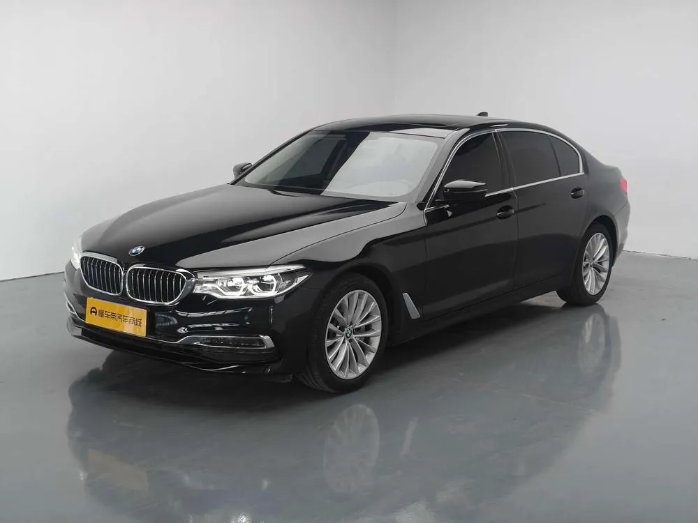 BMW 5-Series 530Li Leading Version Luxury, 2020 — фото 1