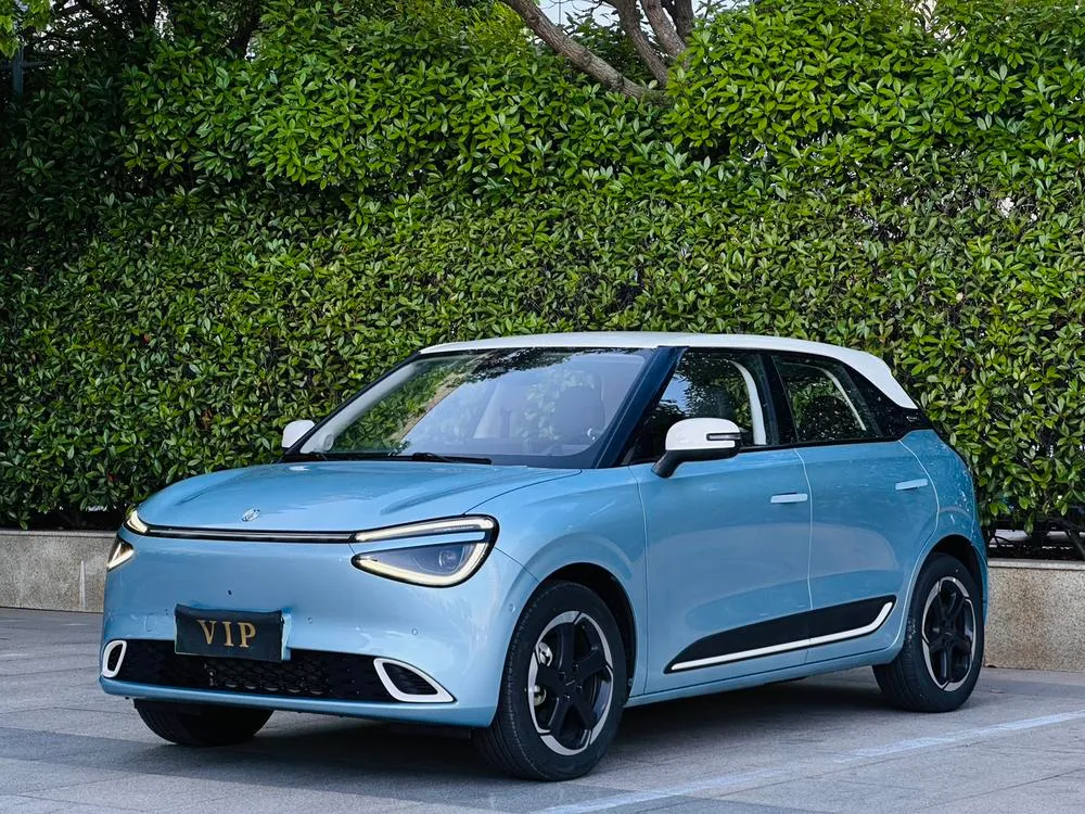 Dongfeng Yipai Nami 01, 2024