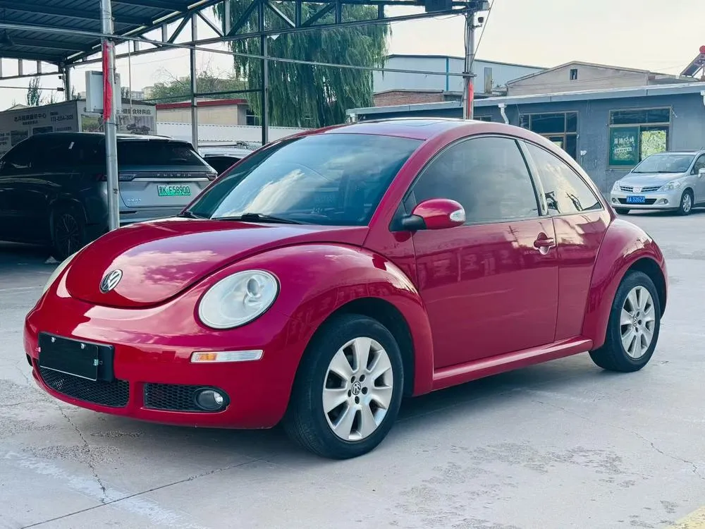 Volkswagen Beetle, 2010