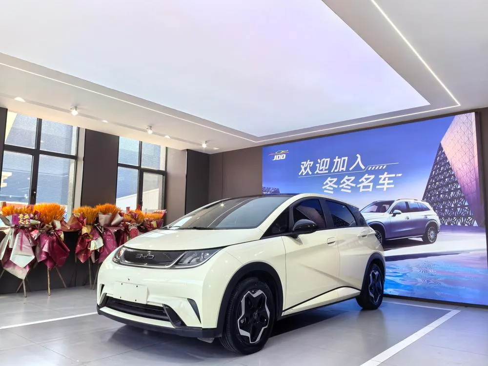 BYD Dolphin, 2021