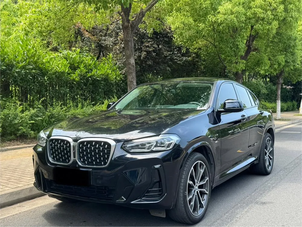 BMW X4 xDrive 30i M Sport, 2022 — фото 1