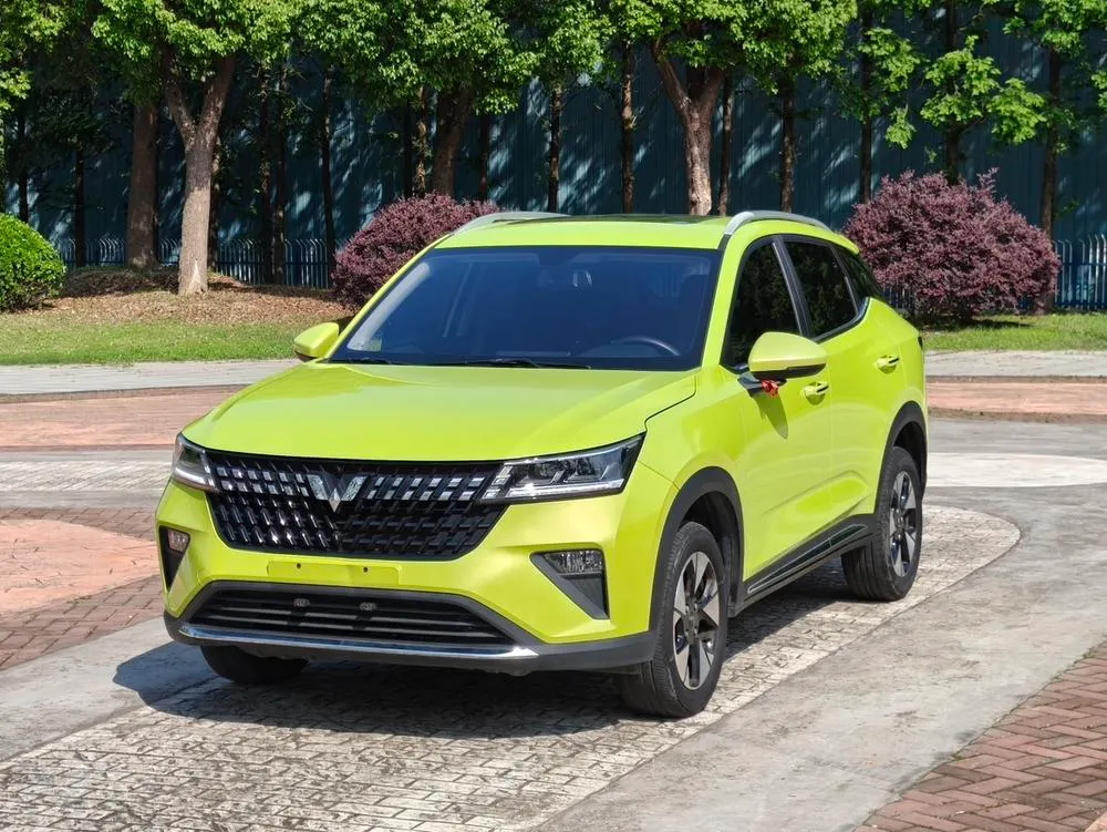 Wuling Xingchi, 2023