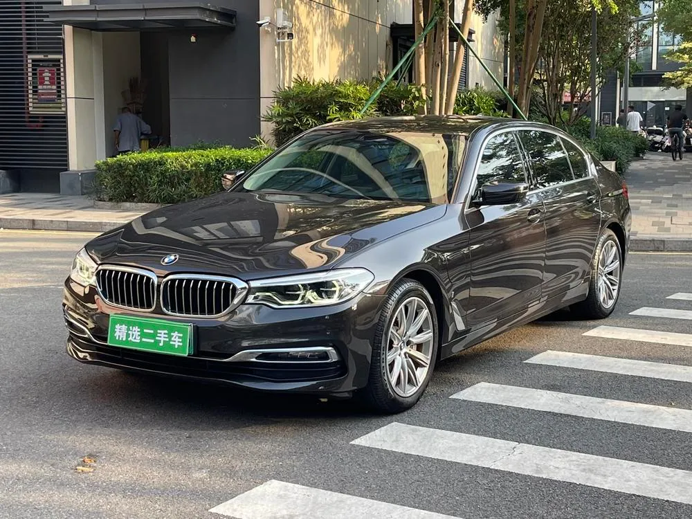 BMW 5-Series PHEV 530Le Luxury, 2019 — фото 1