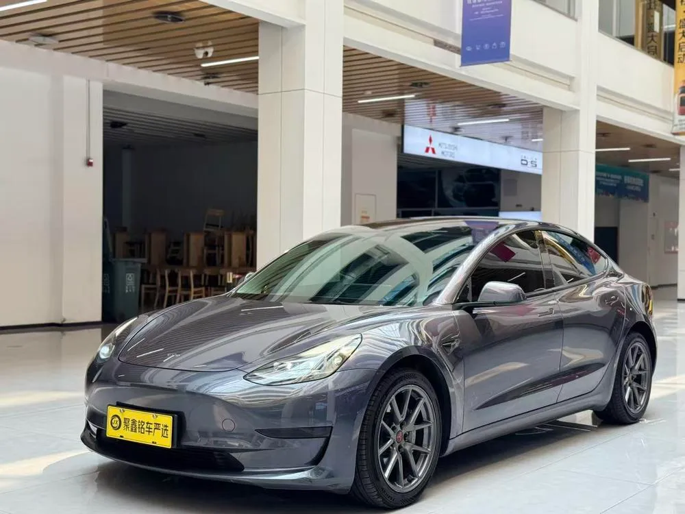 Tesla Model 3 Standard Range RWD Upgraded Edition, 2021 — фото 1