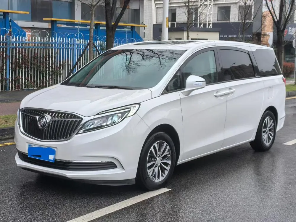 Buick GL8 ES 28T Comfort Version CN5, 2017 — фото 1