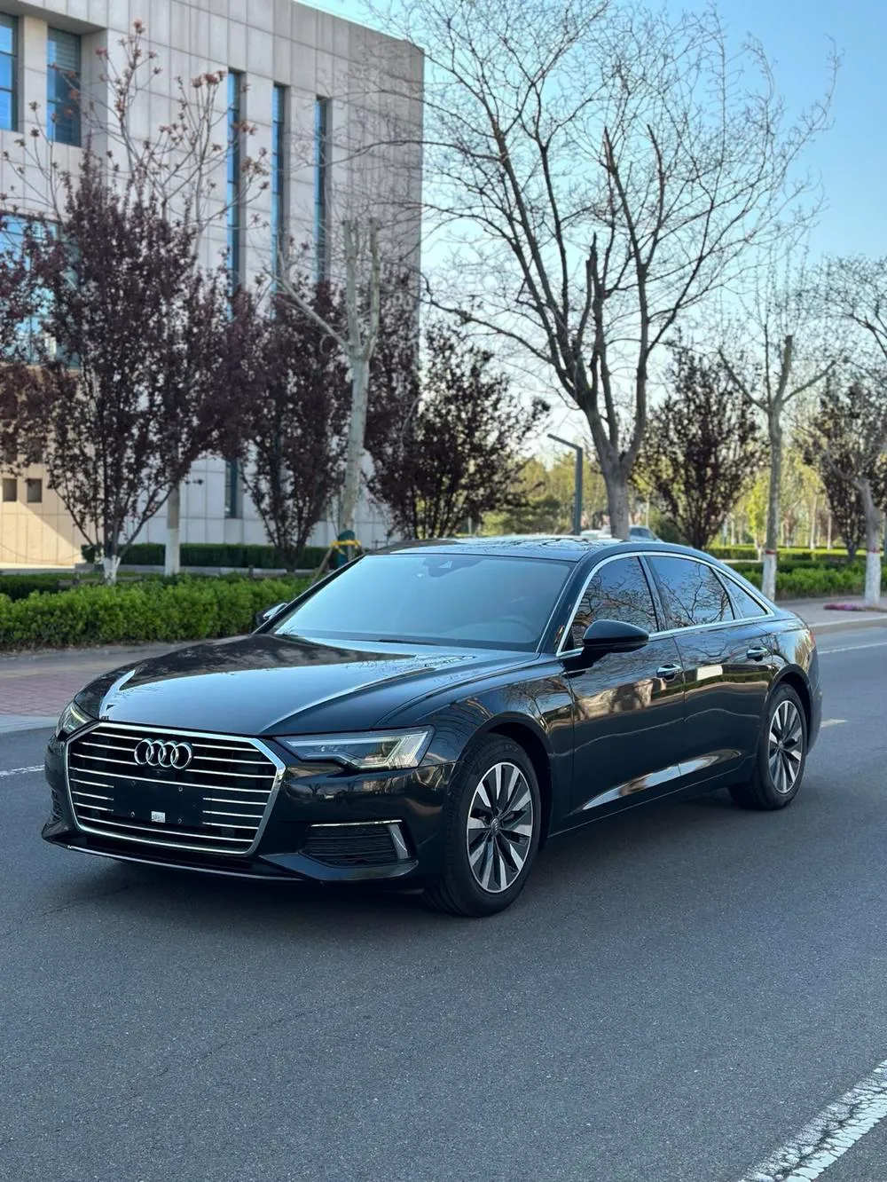 Audi A6L 40 TFSI Luxury Elite Version, 2021 — фото 1