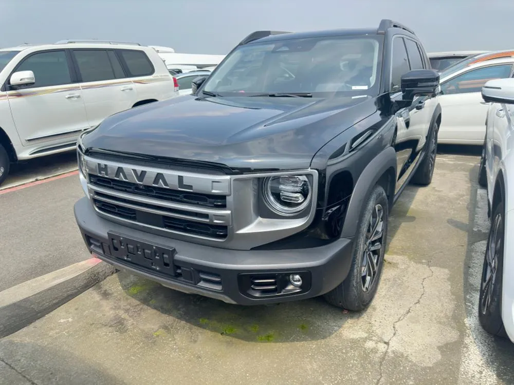 Haval Big Dog 1.5T 2WD Edition, 2024 — фото 1