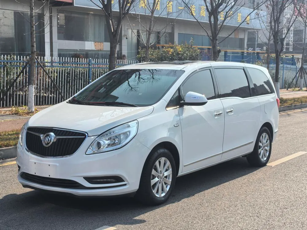 Buick GL8 25S Luxury Version CN5, 2017 — фото 1
