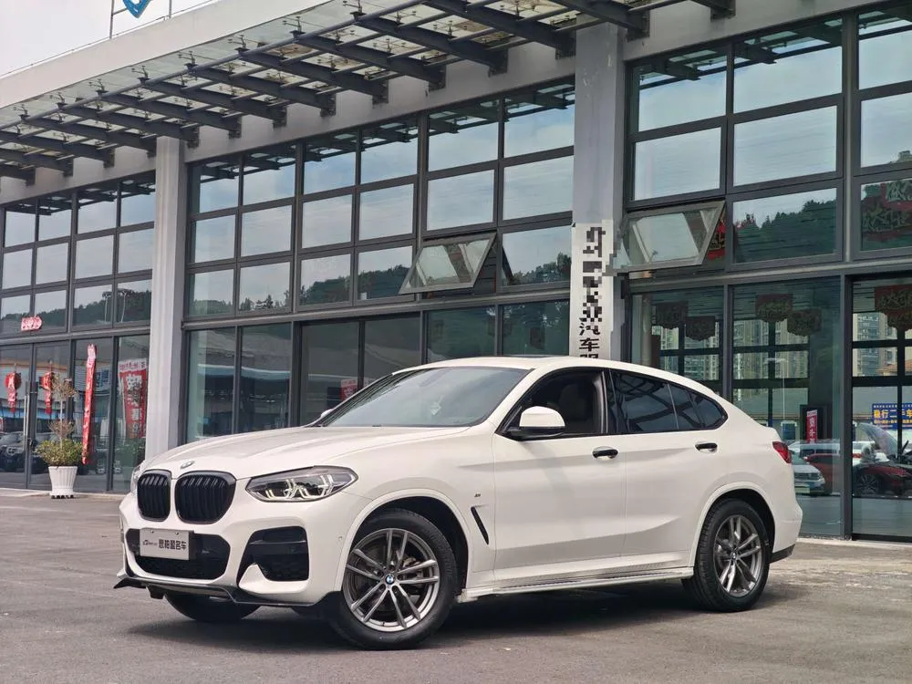 BMW X4 xDrive25i M Sport, 2020 — фото 1