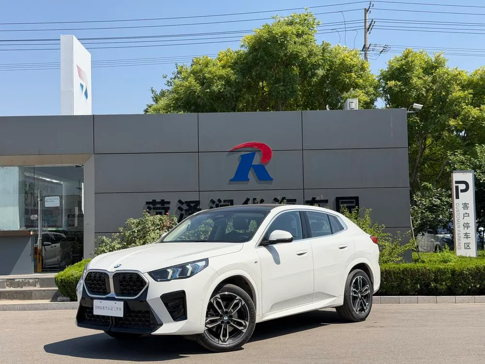 BMW X2 (Import) sDrive25i M Sport, 2024 — фото 1