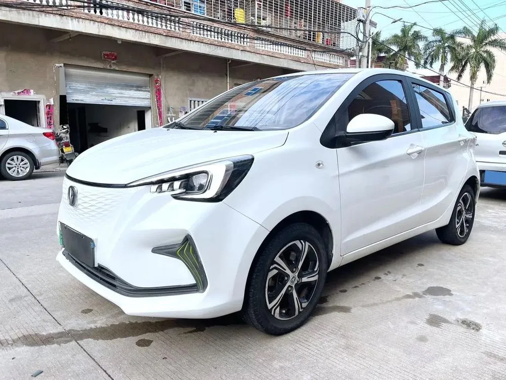 Changan Oshan Benni E-Star Edition Model LFP, 2022 — фото 1