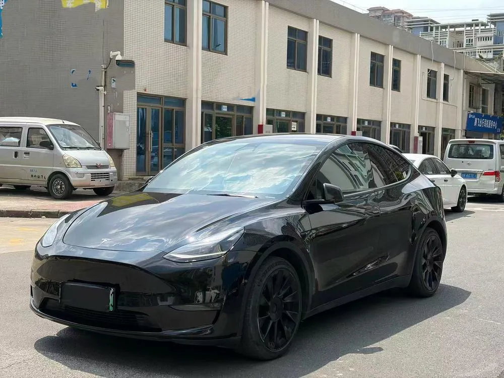 Tesla Model Y Standard Range Edition, 2021 — фото 1