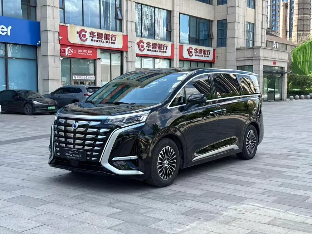 Denza D9 DM, 2024