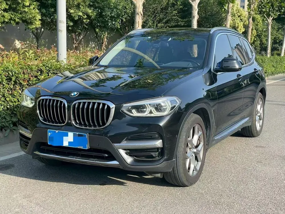 BMW X3 xDrive28i Luxury, 2020 — фото 1