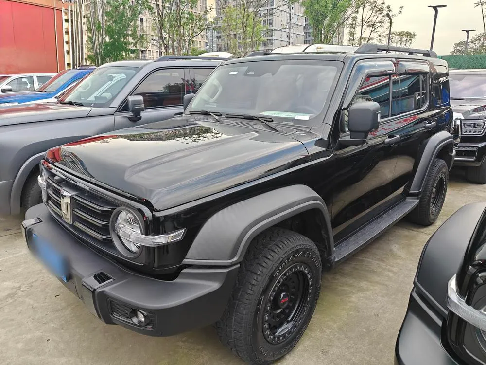 Tank 300, 2021