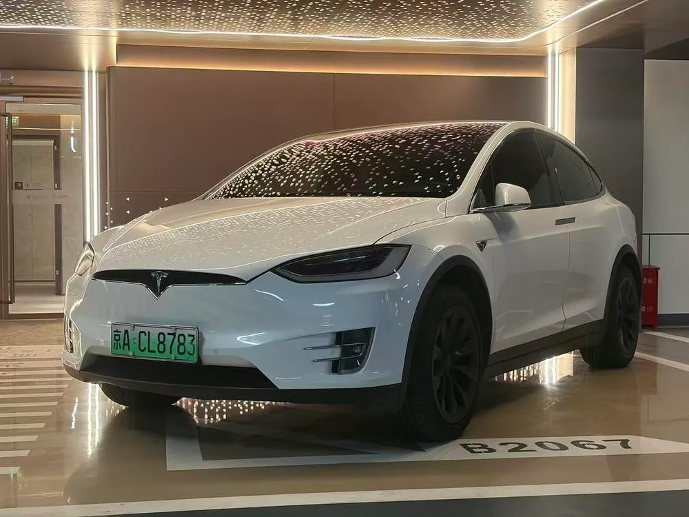 Tesla Model X 75D, 2016 — фото 1