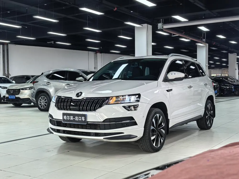 Skoda Karoq Facelift TSI280 Edition, 2022 — фото 1