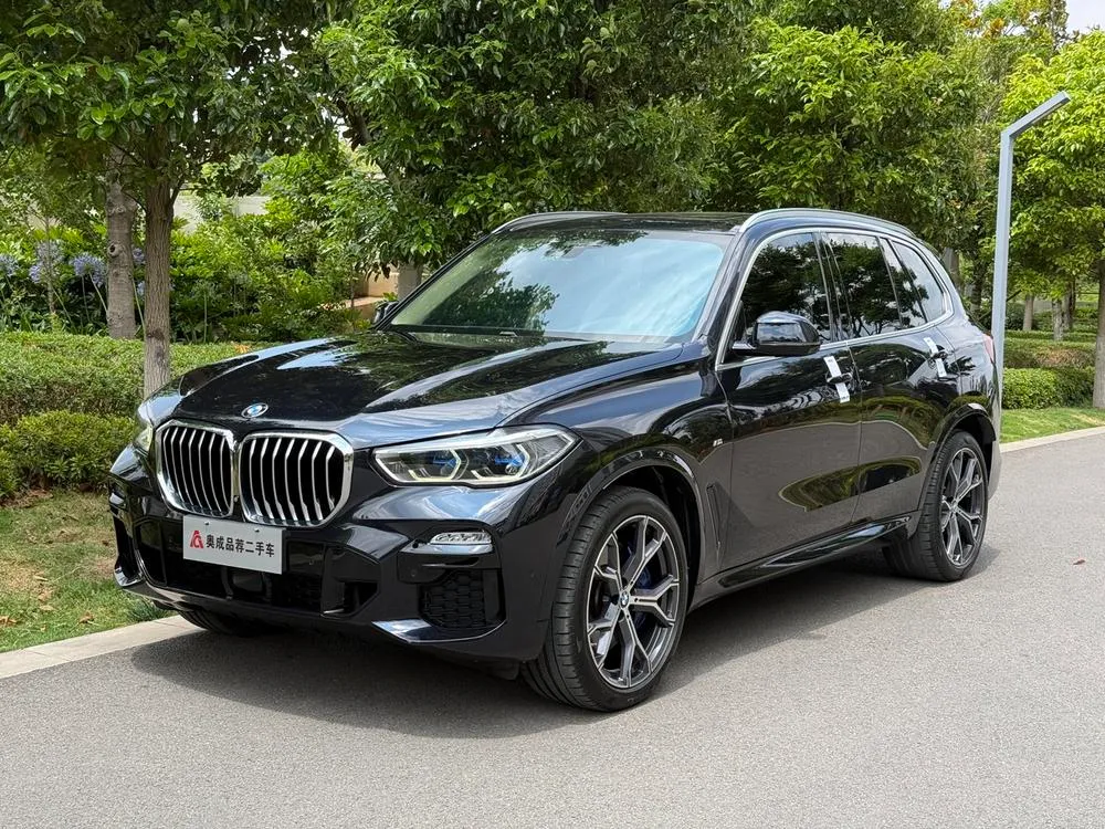 BMW X5 (Import), 2019