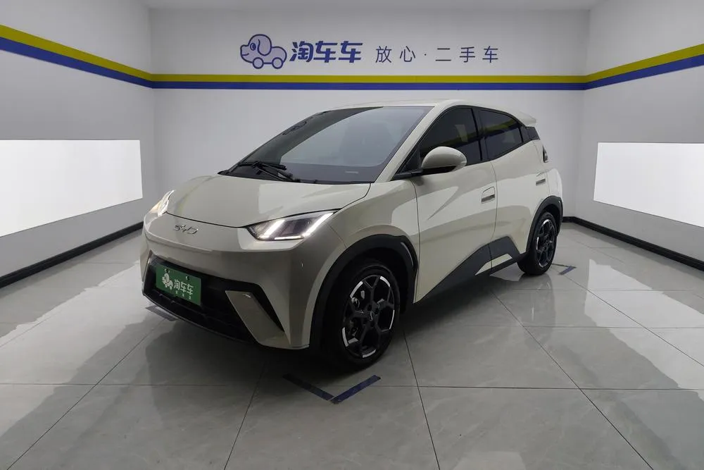 BYD Seagull 405KM Edition, 2025 — фото 1