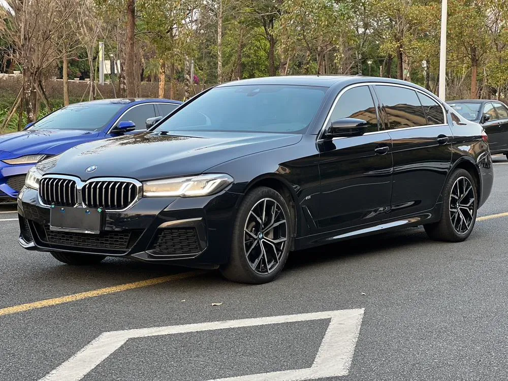 BMW 5-Series 530Li Prestige Version M Sport, 2023 — фото 1