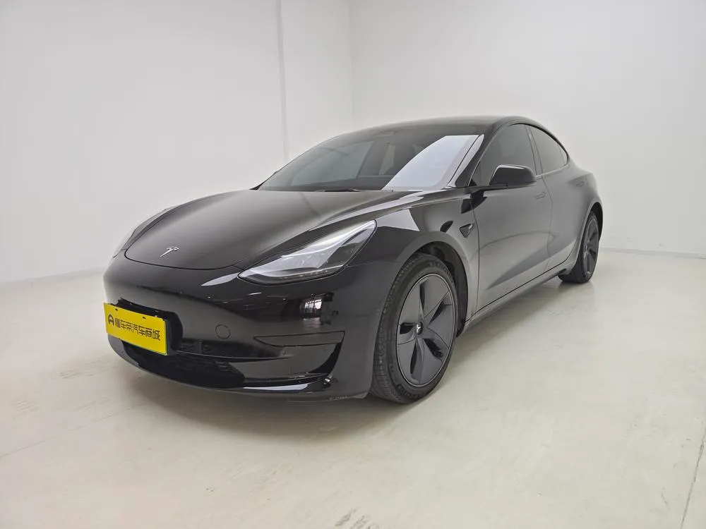 Tesla Model 3 Standard Range RWD Upgraded Edition 3D6, 2021 — фото 1