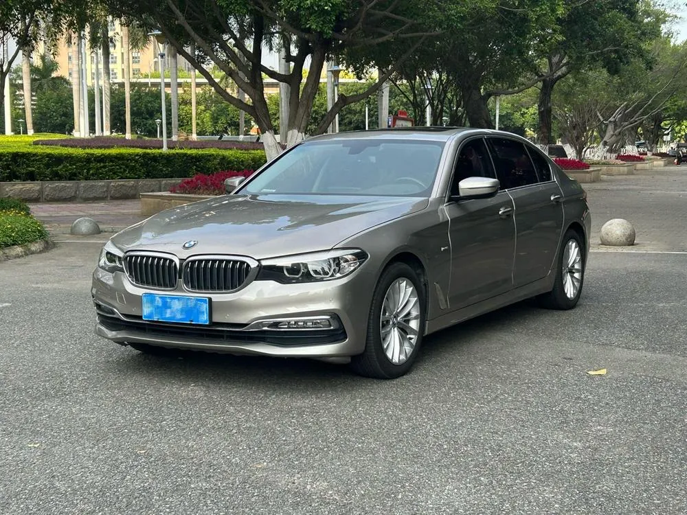 BMW 5-Series 525Li Luxury, 2018 — фото 1