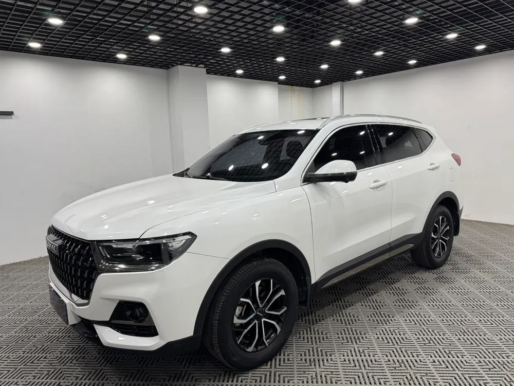 Haval H6 Trendy Edition 1.5T Auto Edition, 2023 — фото 1
