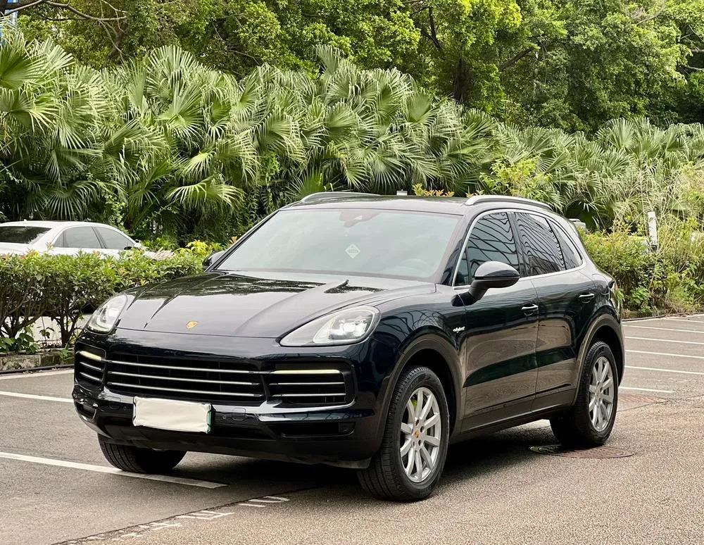 Porsche Cayenne E-Hybrid Cayenne E-Hybrid 2.0T, 2019 — фото 1