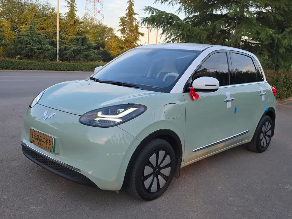 Wuling Bingo, 2023