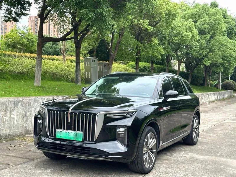Hongqi E-HS9 460km Edition 6-Seater, 2020 — фото 1