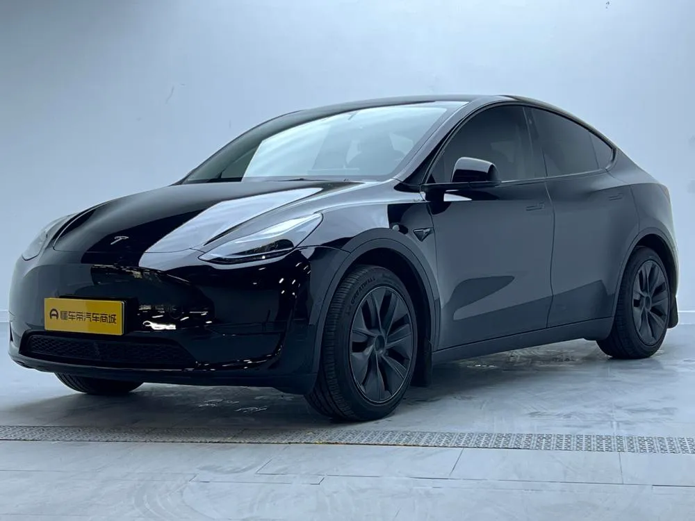 Tesla Model Y Edition, 2023 — фото 1