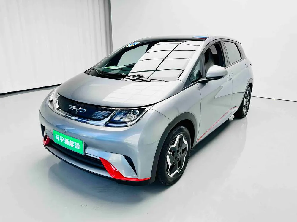 BYD Dolphin, 2021
