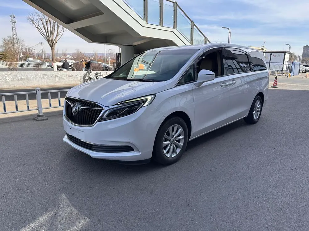 Buick GL8 ES 28T Prestige Version CN5, 2017 — фото 1