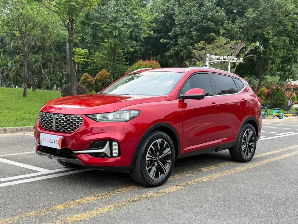 Wey VV6 2.0T 2WD Joy +, 2021 — фото 1