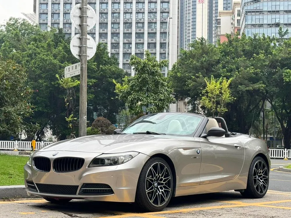 BMW Z4 sDrive35i Luxury Version, 2010 — фото 1
