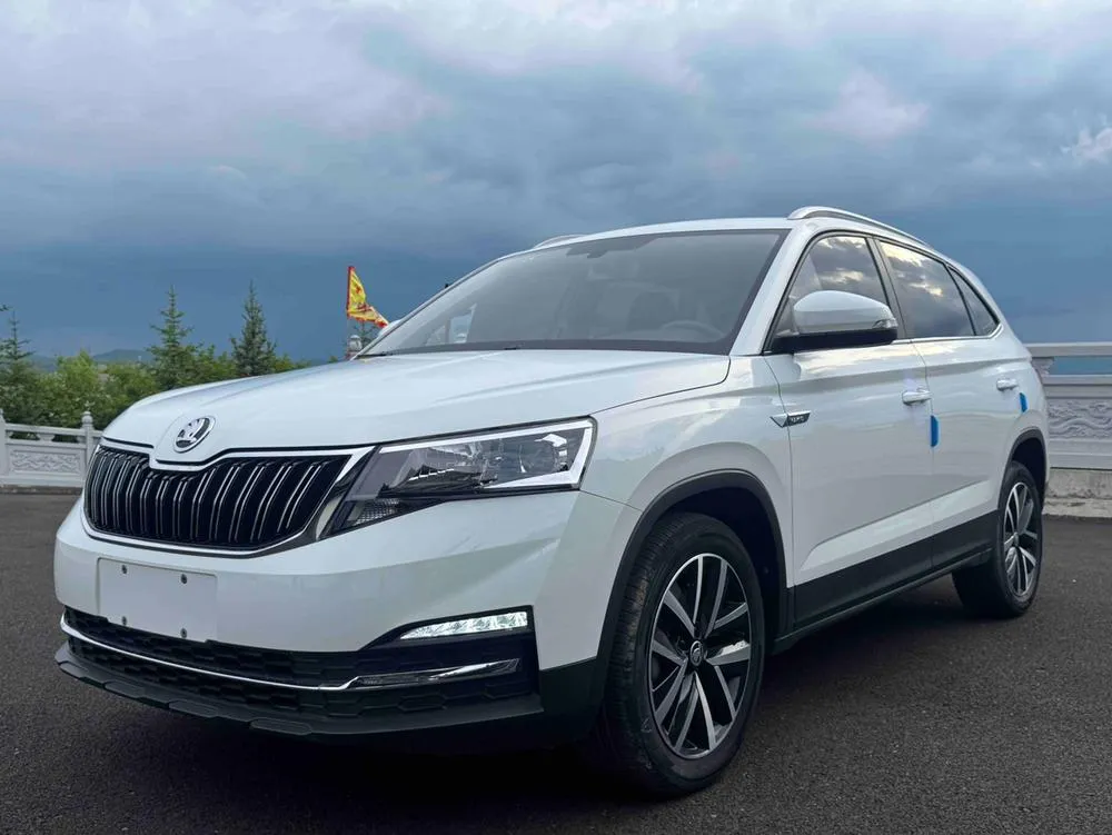 Skoda Kamiq Facelift 1.5L Auto Edition, 2023 — фото 1