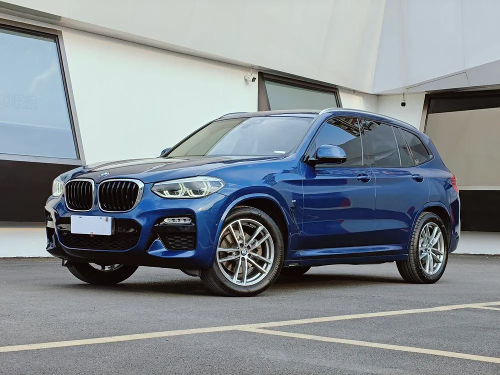 BMW X3 xDrive30i Leading Version M Sport CN6, 2018 — фото 1