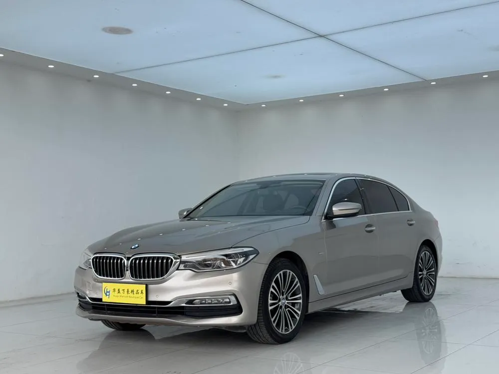 BMW 5-Series 530Li Prestige Version Luxury, 2018 — фото 1