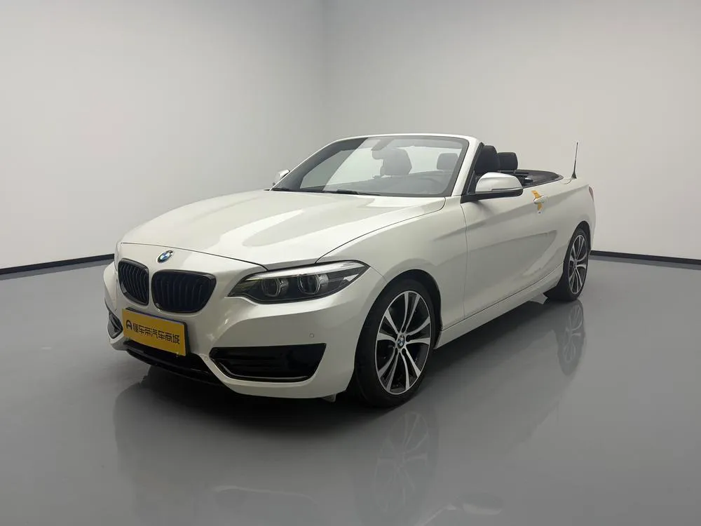 BMW 2-Series (Import), 2019