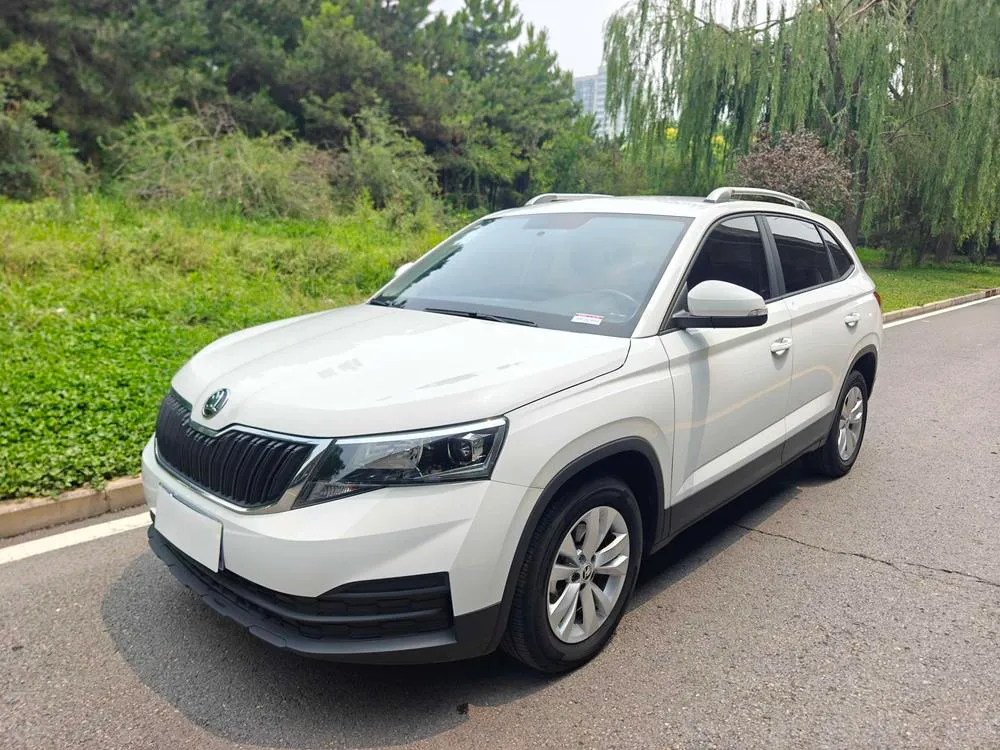 Skoda Kamiq, 2024