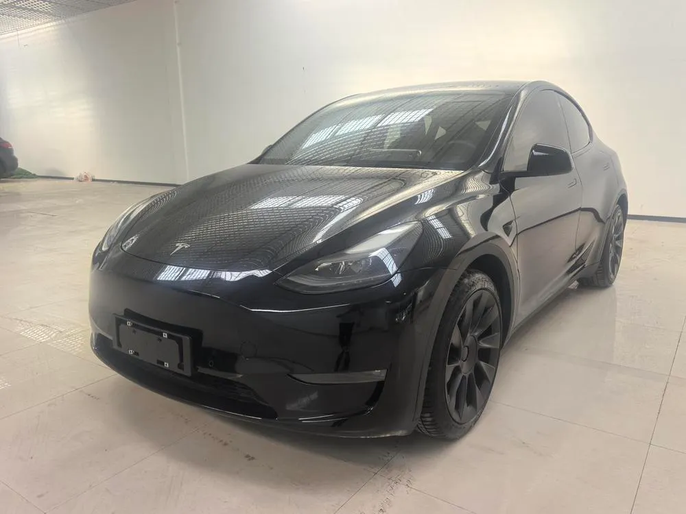 Tesla Model Y, 2021