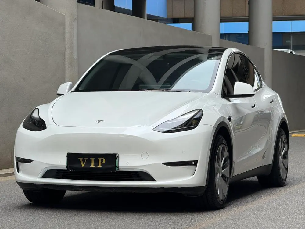 Tesla Model Y Standard Range Edition, 2021 — фото 1